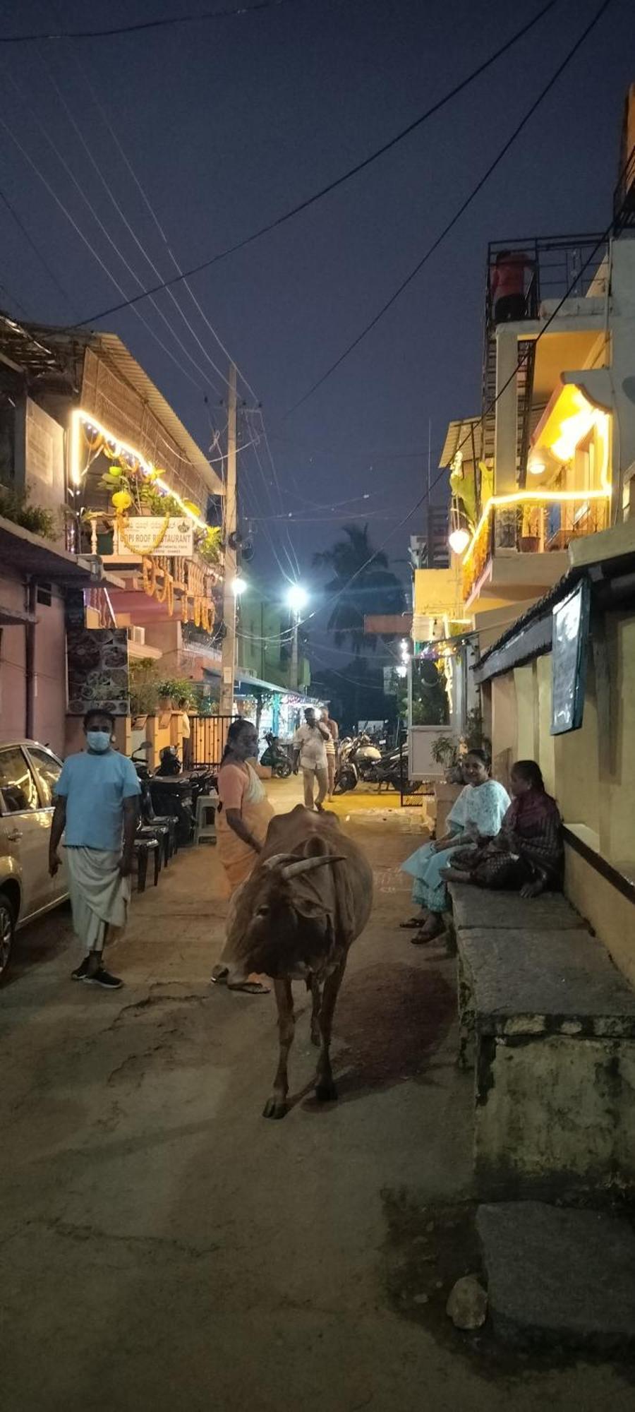 亨比 戈皮旅馆酒店 外观 照片